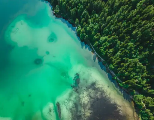 Ein Gewässer mit Bäumen im Vordergrund.