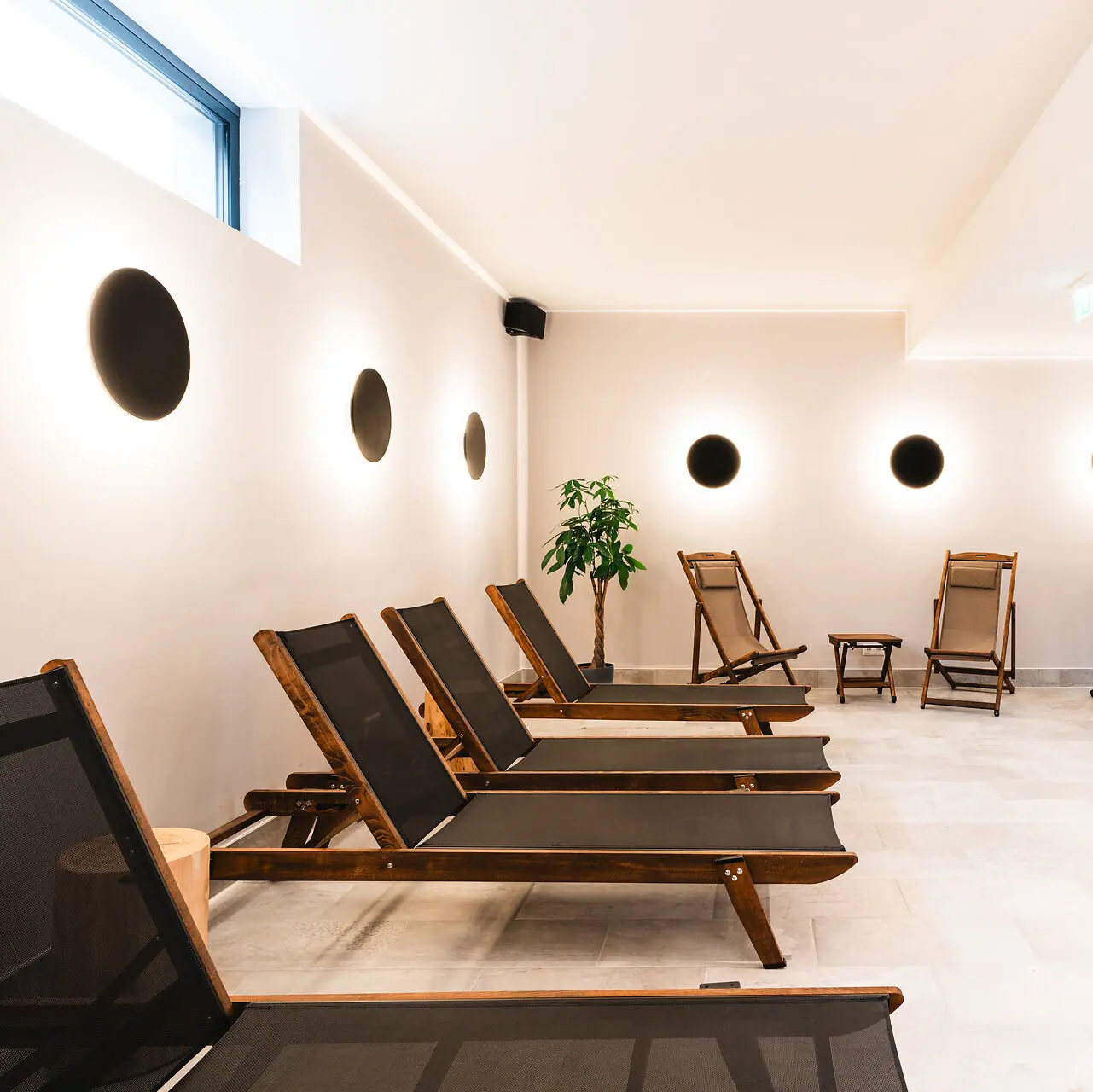 Ein Raum mit Stühlen und einer Pflanze.