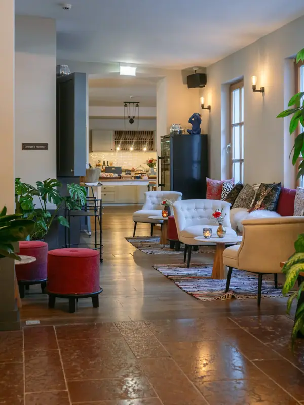 Ein Zimmer mit einem großen Pflanzen und Stühlen.