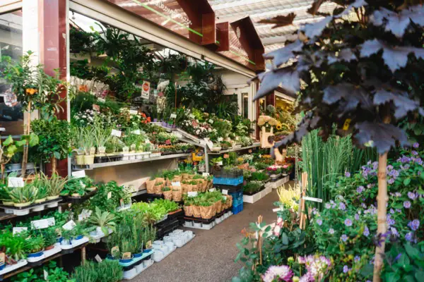 Carlsplatz Markt Düsseldorf Ein Geschäft mit Pflanzen und Blumen.