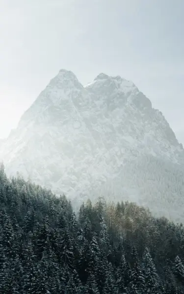 Verschneite Berglandschaft mit Bäumen.