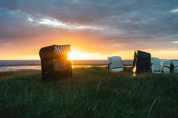 Cuxhaven Strandkörbe in Cuxhaven in einer grasbewachsenen Fläche mit Sonnenuntergang im Hintergrund.