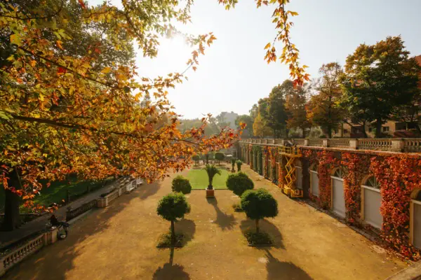 Innenhof mit Bäumen und Büschen im Herbst.