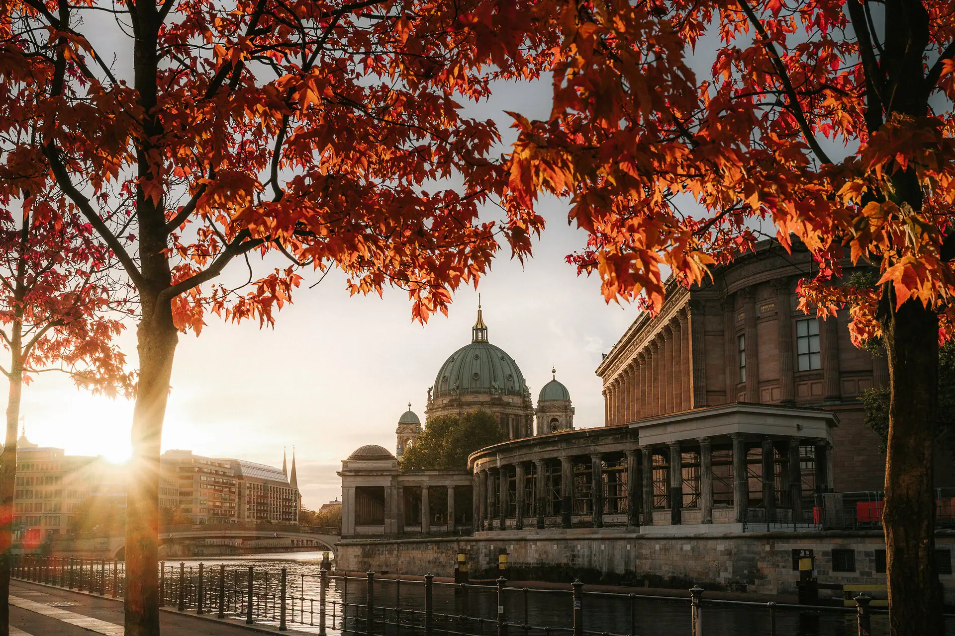HENRI Berlin Museumsinsel Ein Baum mit roten Blättern neben einem Gebäude mit Kuppel.