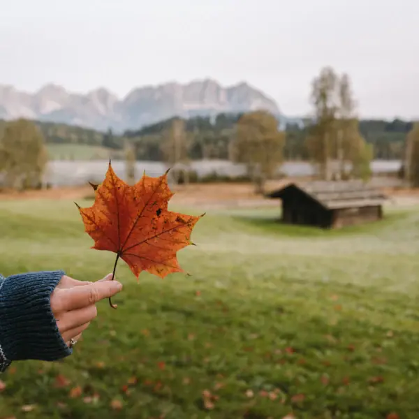 Herbst in Kitzbühel
