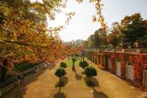 Innenhof mit Bäumen und Büschen im Herbst.