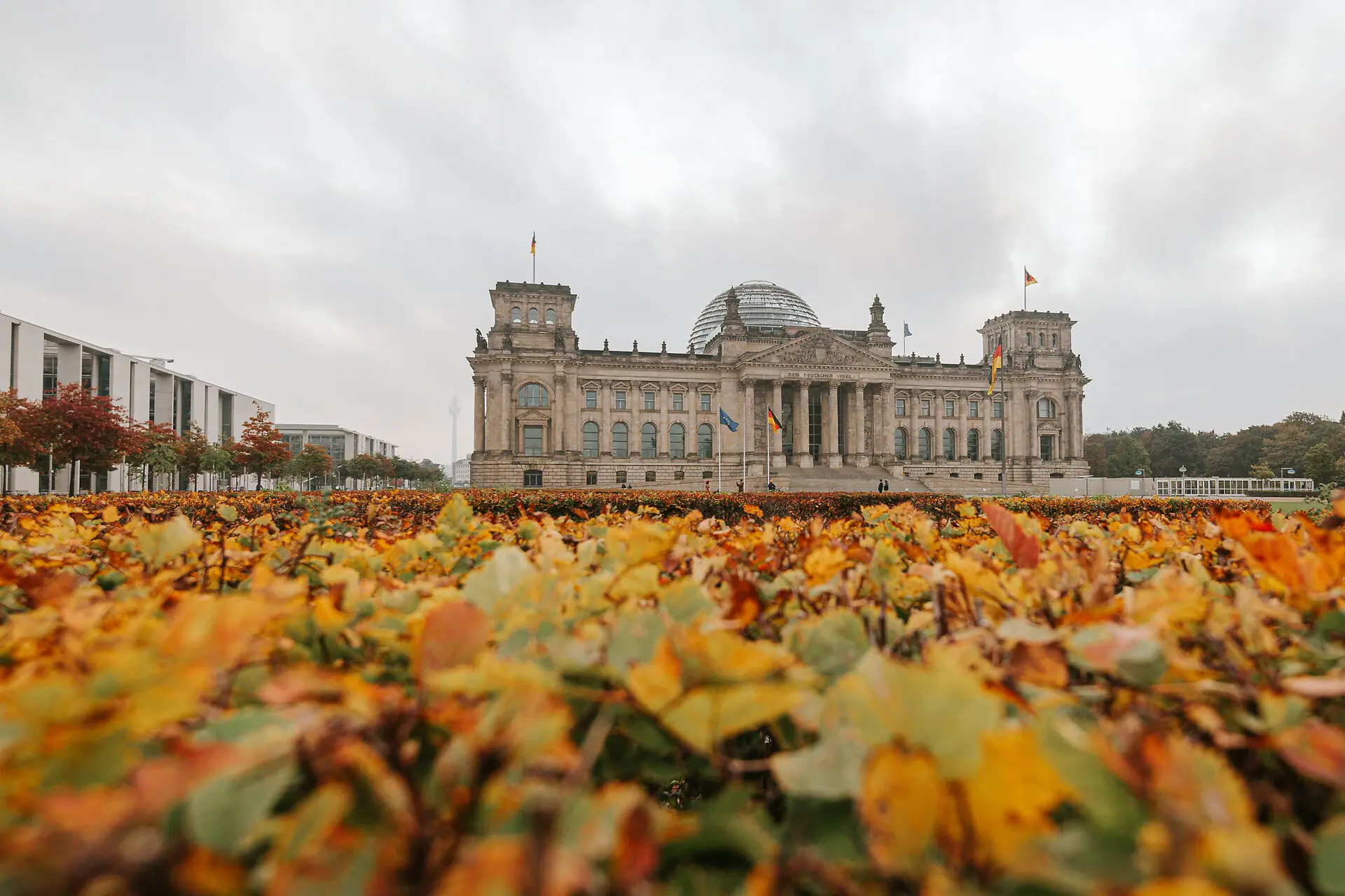 Berlin Sehenswürdigkeit Reichstag Herbst Das historische Reichstagsgebäude in Berlin mit der modernen Glaskuppel hinter einer herbstlich verfärbten Hecke unter bewölktem Himmel.