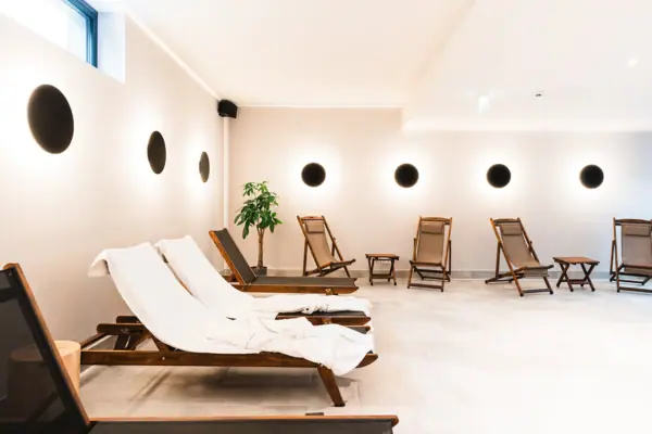 Ein Raum mit Stühlen und einer Pflanze.