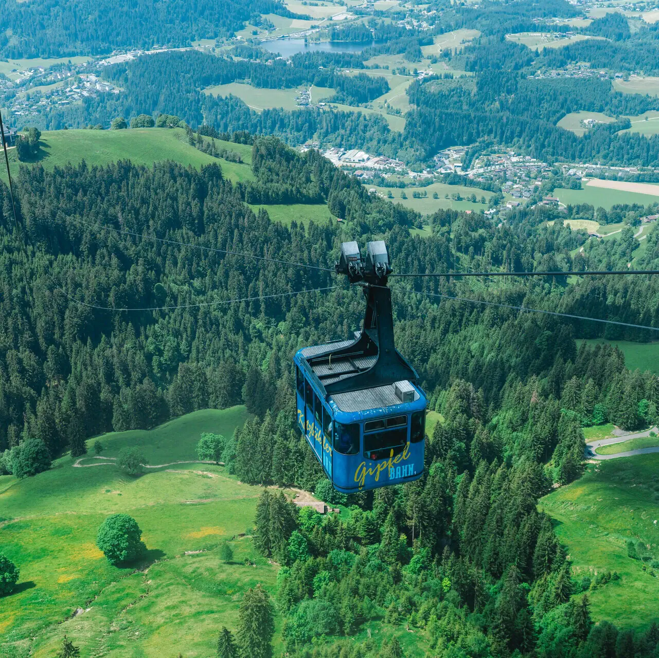 Blaue Seilbahn über grüner Landschaft mit Bäumen und Bergen im Hintergrund.
