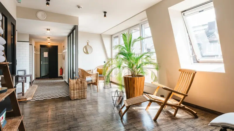 Wellnessbereich mit Korbstühlen, Liegestuhl und Palme