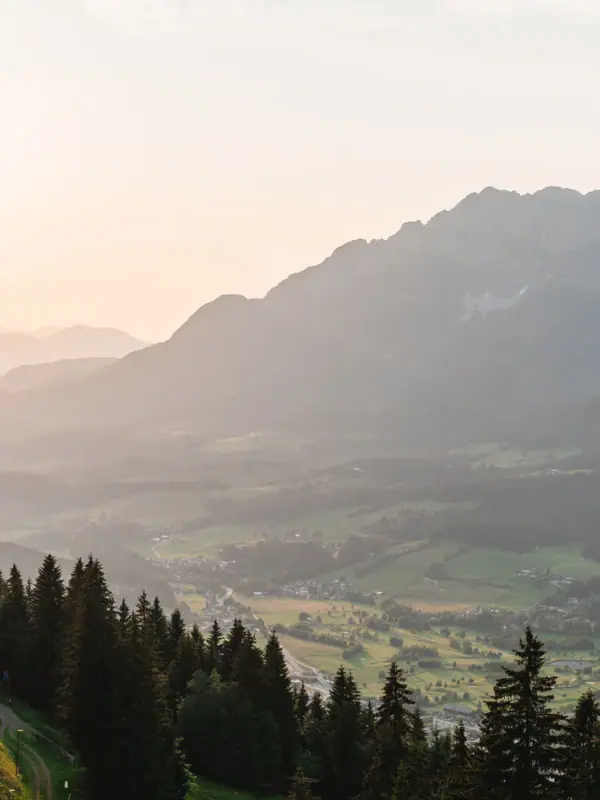 Landschaft eines Tals mit Bäumen und Bergen.